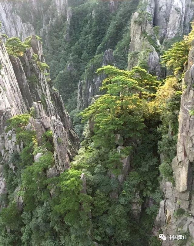 救援销售女员工